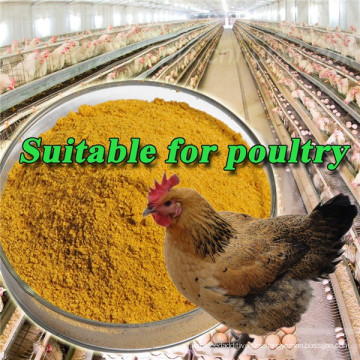 Mejor precio amarillo Harina de gluten de maíz 60% 50 KG bolsa Alimentación de pollo